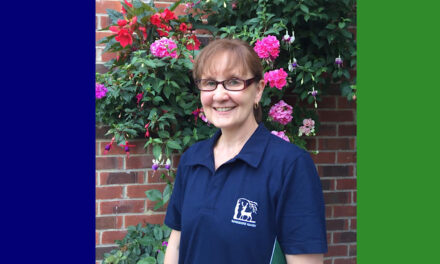Berkshire RFU ANNOUNCE a NEW COUNTY YOUTH ChaIrman For 2020/21 seAson