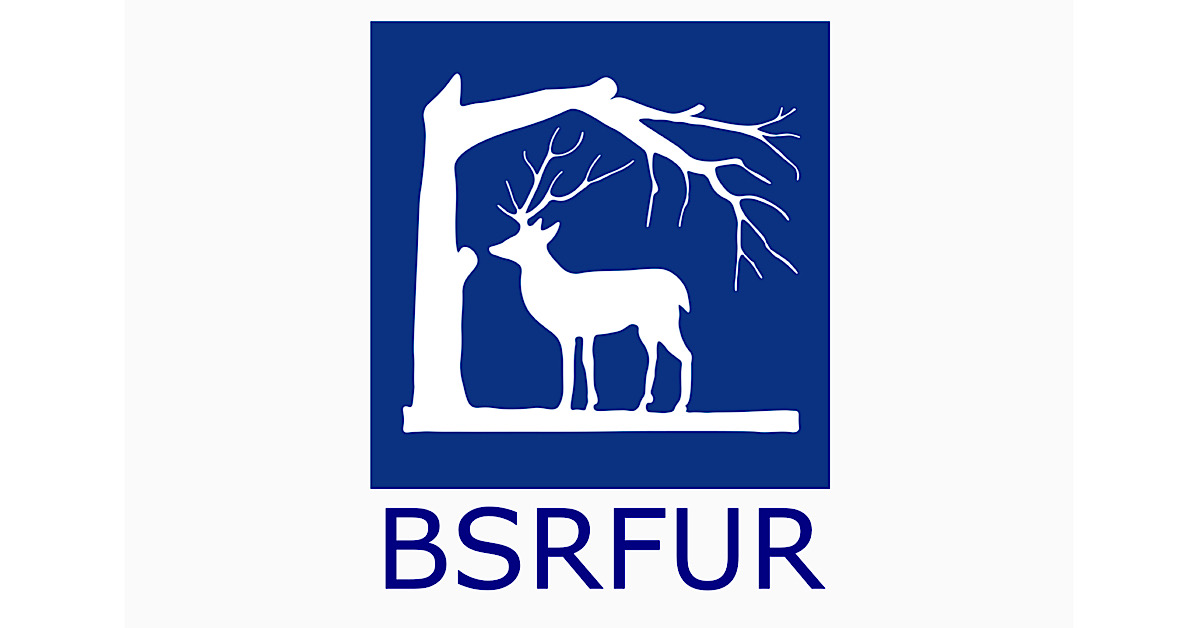 Berkshire referee training